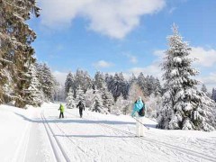 Rennsteig im Winter